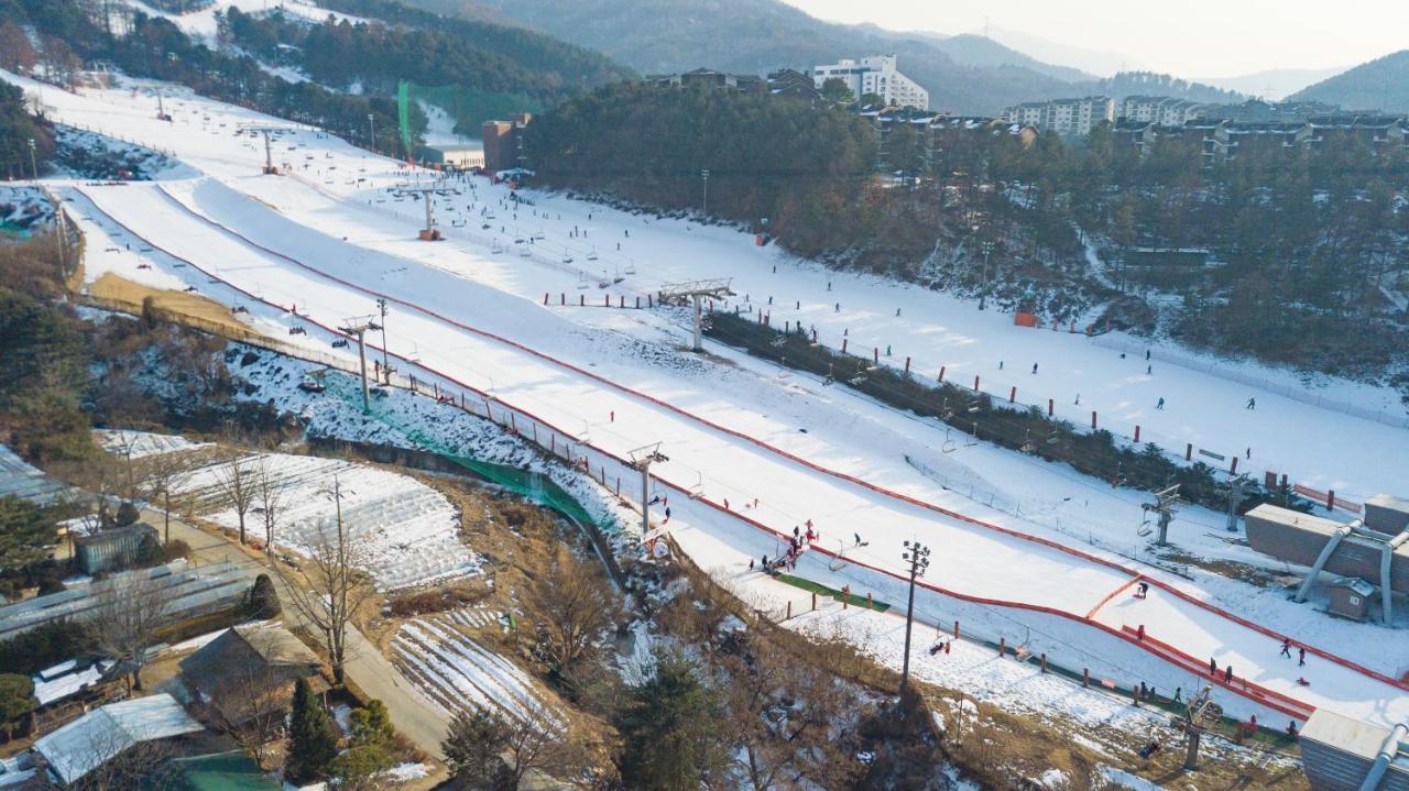 Hotel Bears Town Pocheon-si Exterior foto