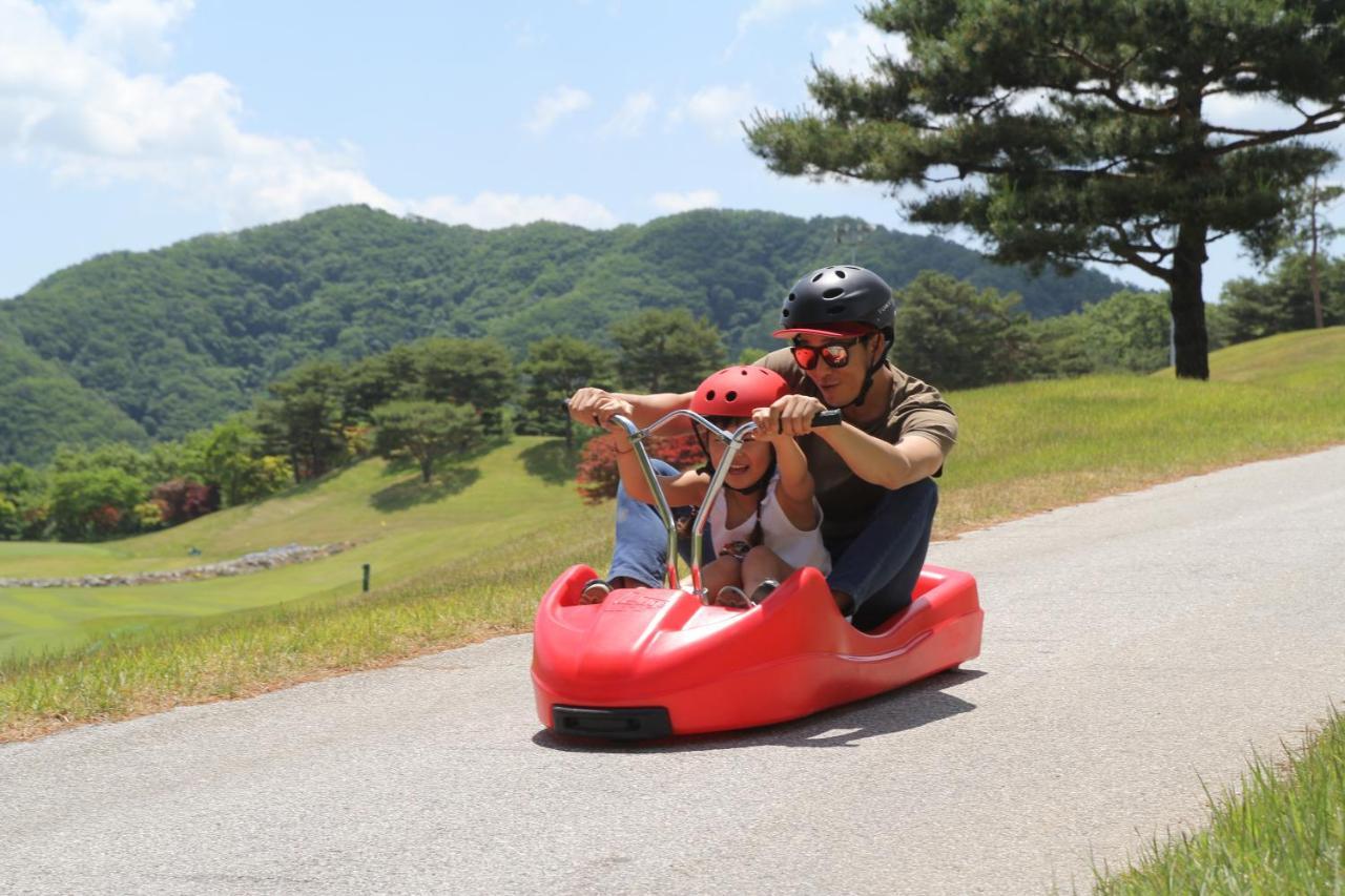 Hotel Bears Town Pocheon-si Exterior foto